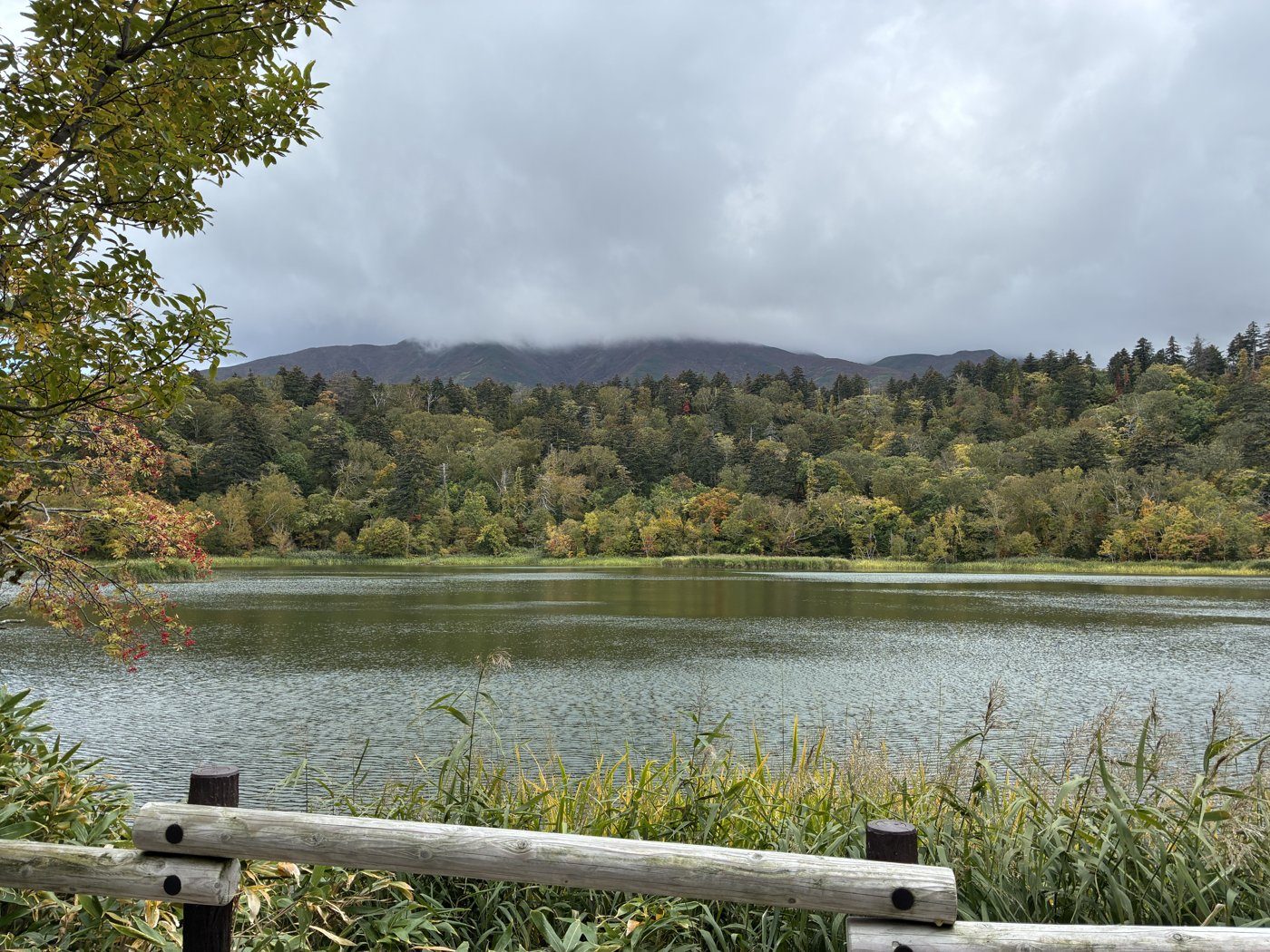 Another quiet moment at Himenuma.