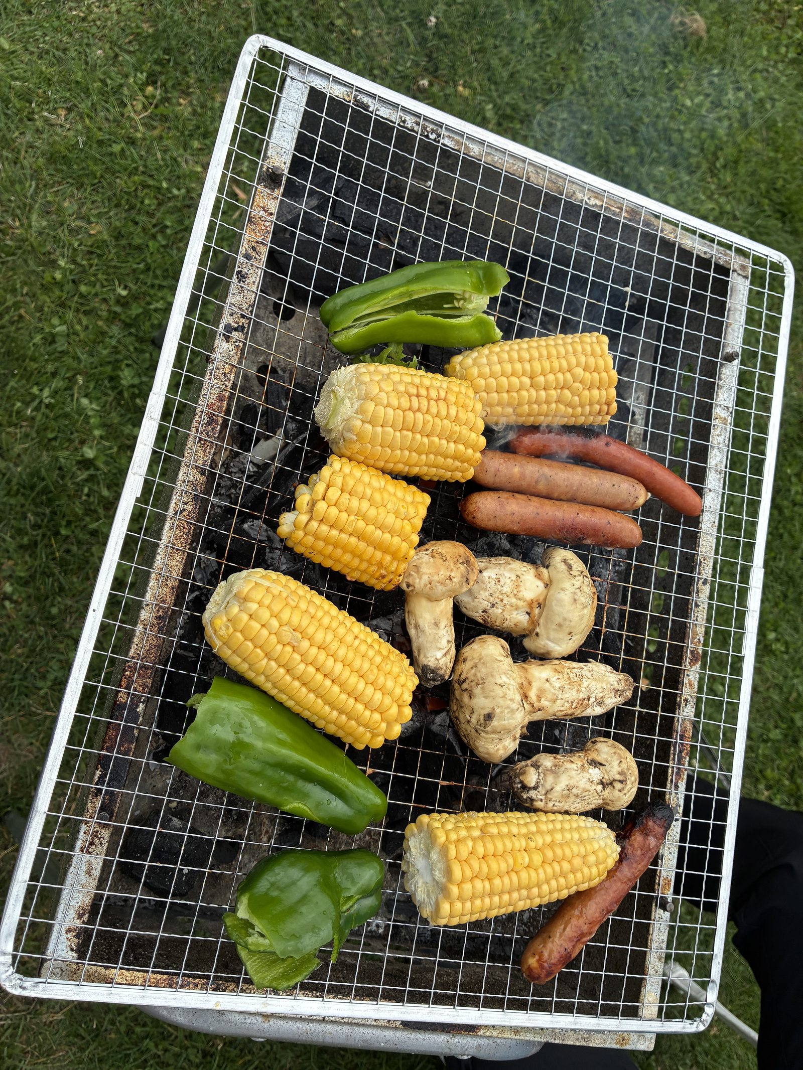 Vegetables and mushrooms on the grill