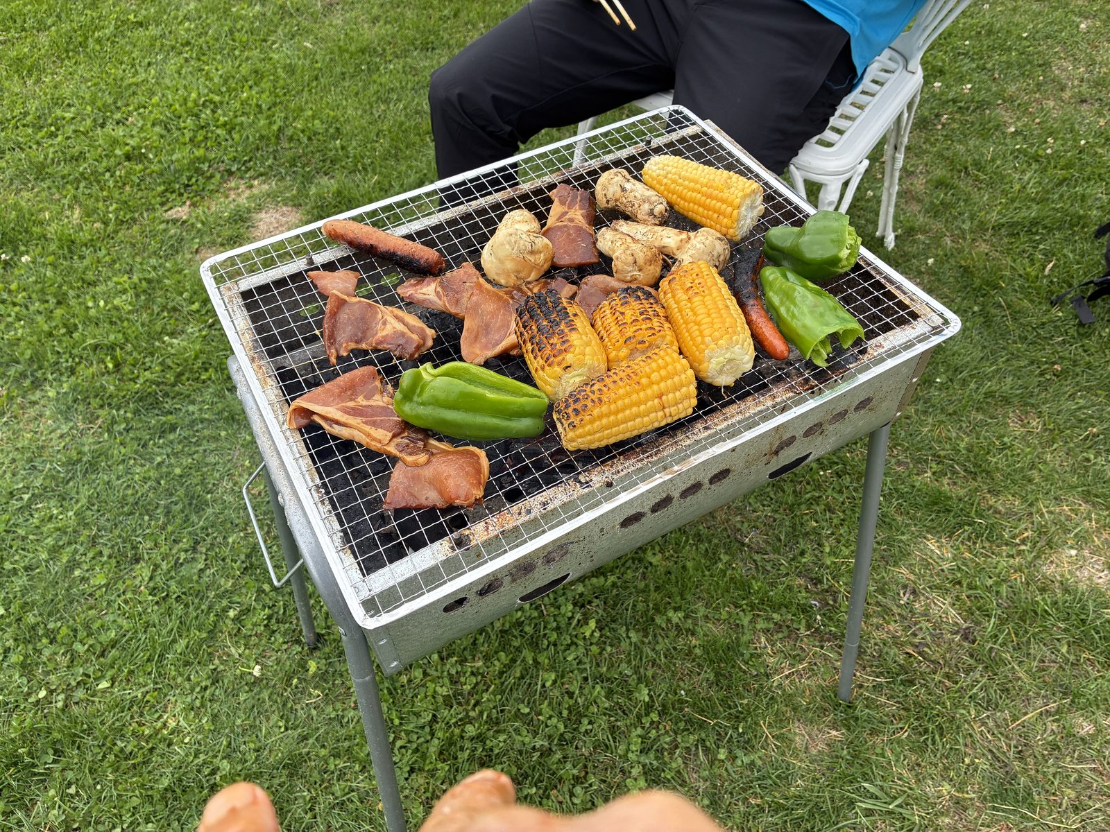 Food browning on the barbecue
